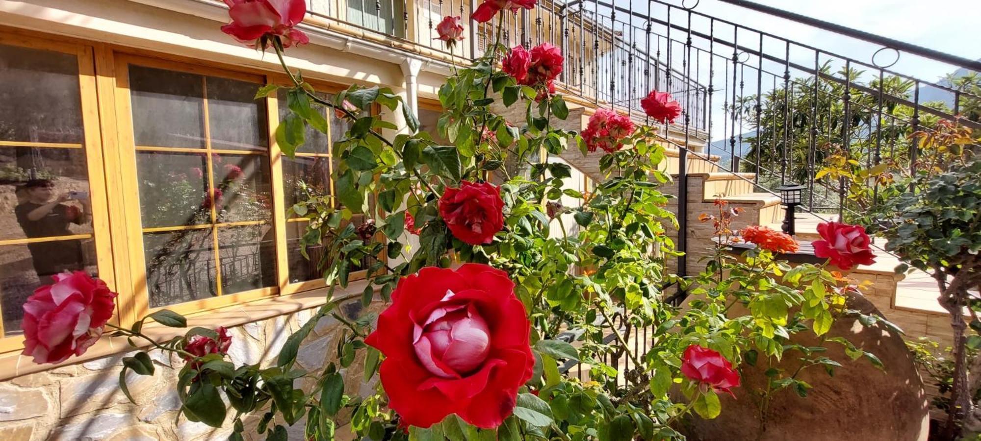 Casas Rurales Cerro Lobo Yeste Zewnętrze zdjęcie