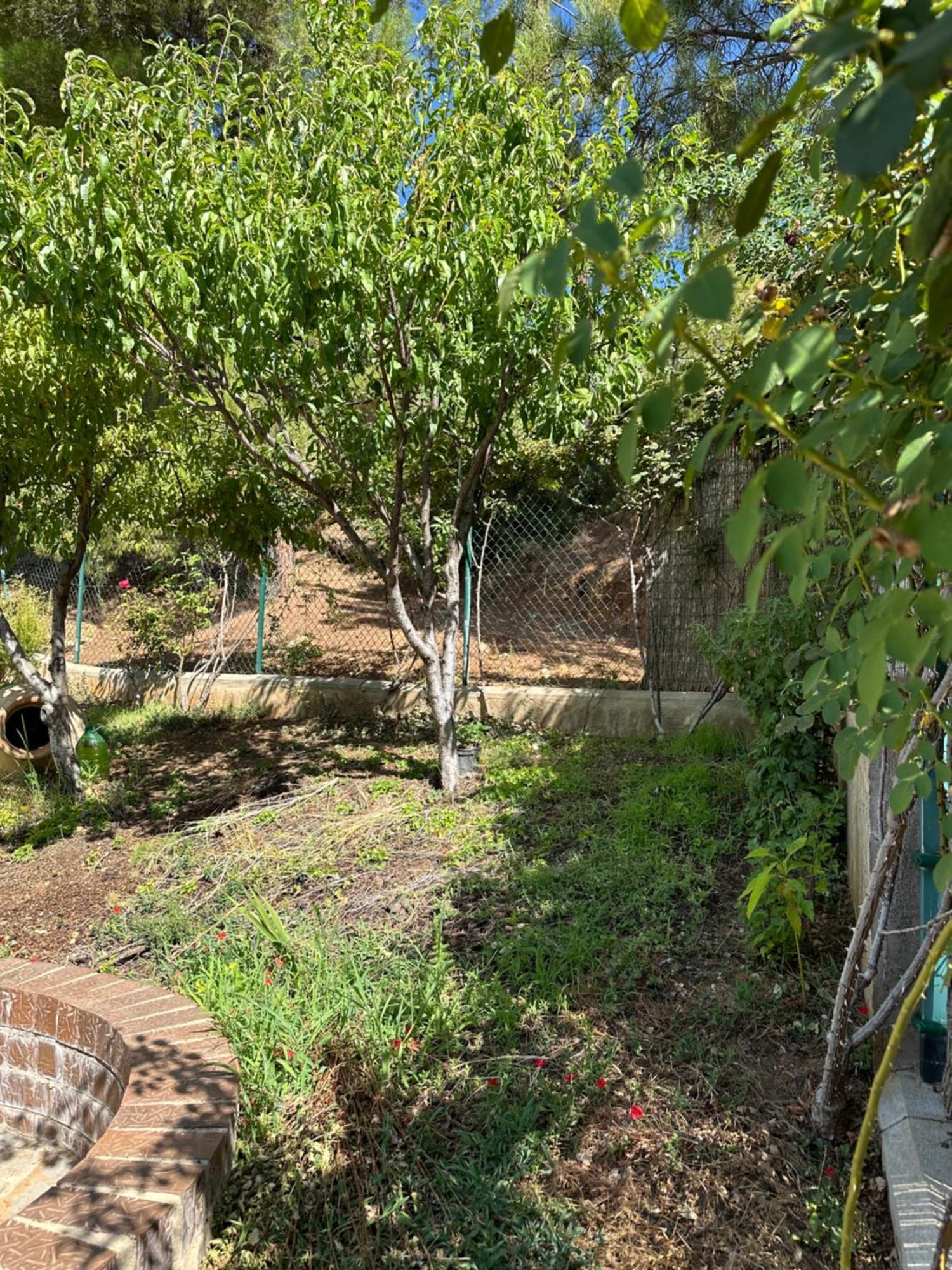 Casas Rurales Cerro Lobo Yeste Zewnętrze zdjęcie