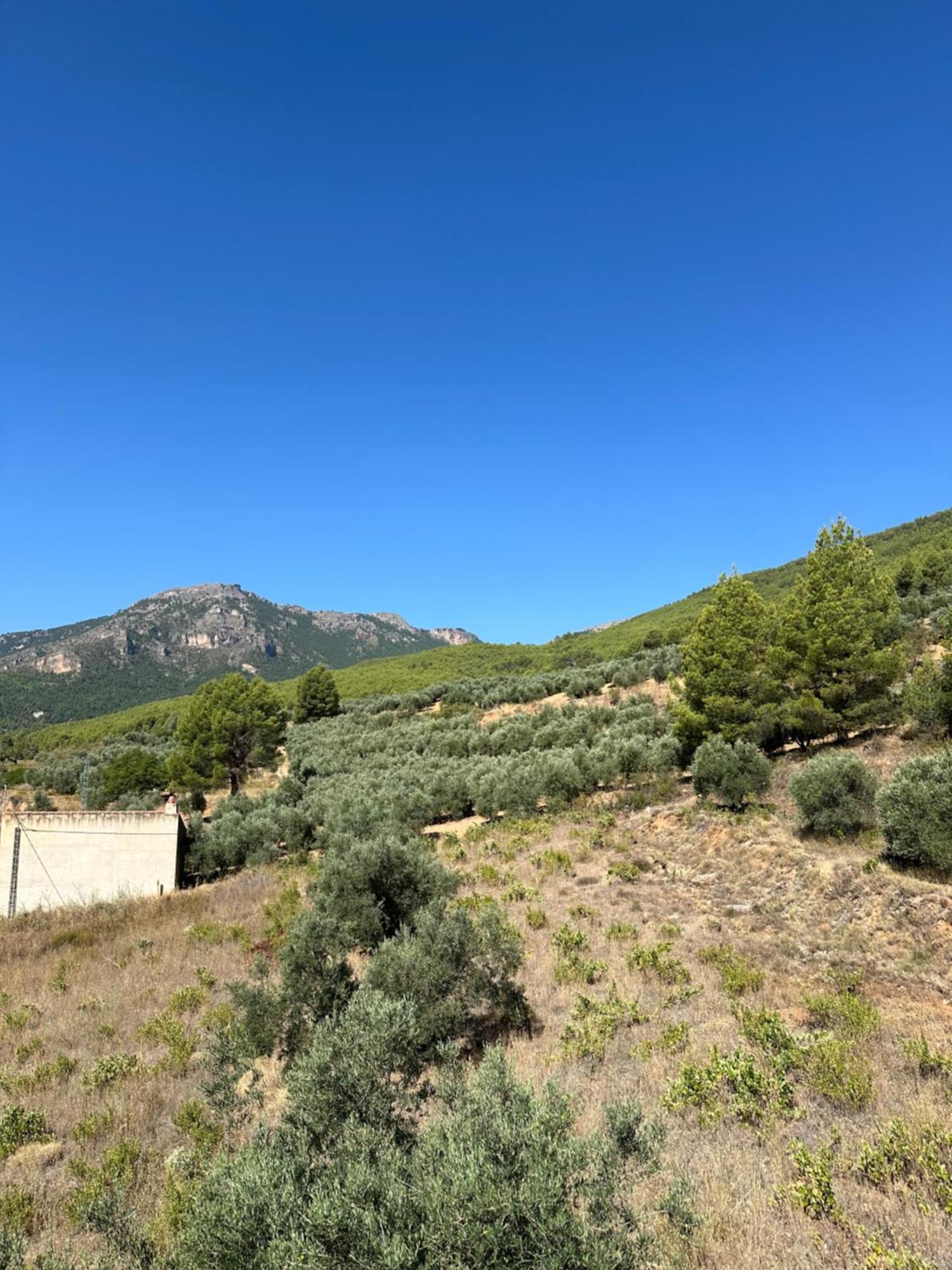 Casas Rurales Cerro Lobo Yeste Zewnętrze zdjęcie